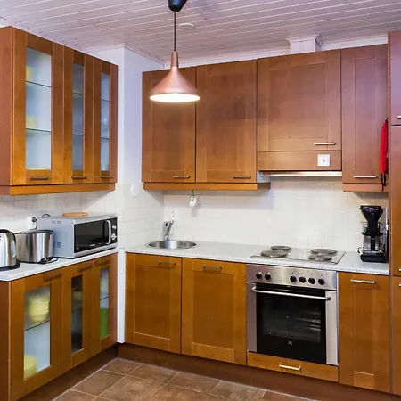 Karhunvartija 2 Visit アパート レヴィ